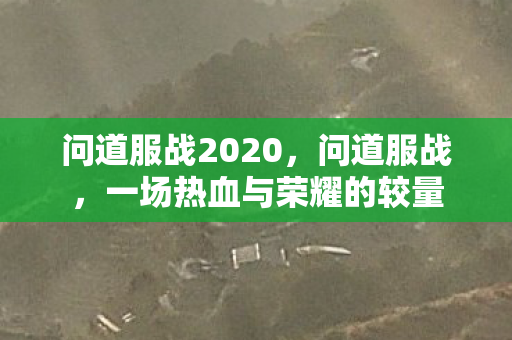 问道服战2020,问道服战,一场热血与荣耀的较量 问道服战2020,问道服战,一场热血与荣耀的较量