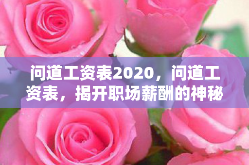 问道工资表2020，问道工资表，揭开职场薪酬的神秘面纱