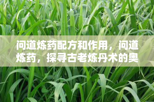 问道炼药配方和作用，问道炼药，探寻古老炼丹术的奥秘与传承