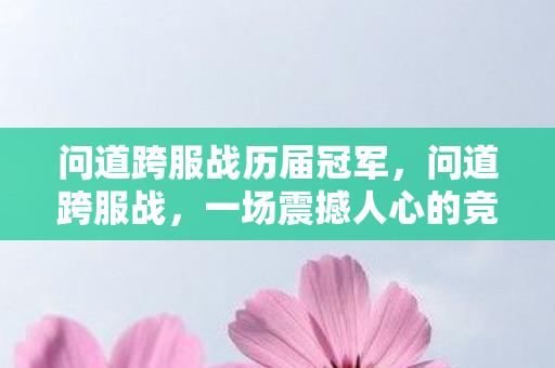 问道跨服战历届冠军，问道跨服战，一场震撼人心的竞技盛宴