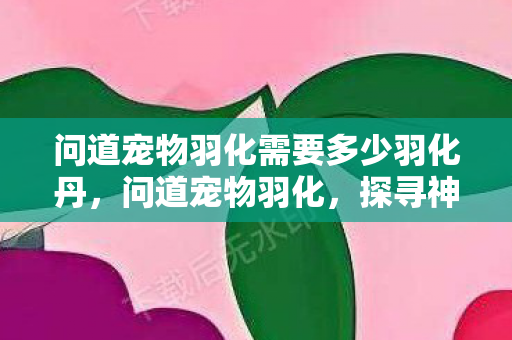 问道宠物羽化需要多少羽化丹，问道宠物羽化，探寻神秘力量的奇幻之旅