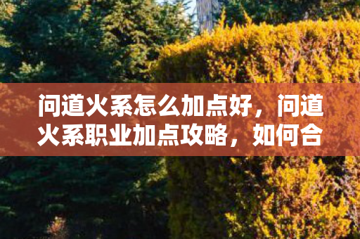 问道火系怎么加点好，问道火系职业加点攻略，如何合理分配属性点？