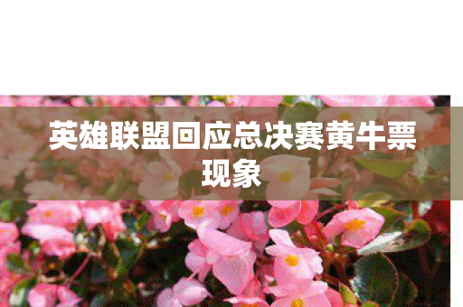 英雄联盟回应总决赛黄牛票现象