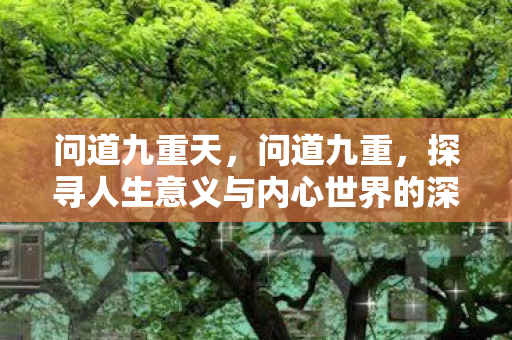 问道九重天，问道九重，探寻人生意义与内心世界的深度之旅