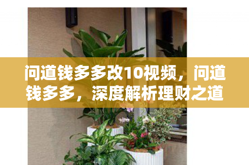 问道钱多多改10视频，问道钱多多，深度解析理财之道
