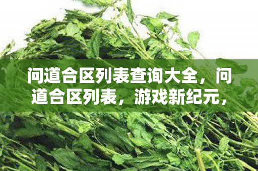 问道合区列表查询大全，问道合区列表，游戏新纪元，跨服集结的号角已经吹响！