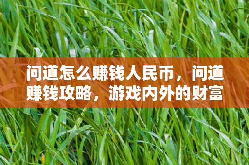 问道怎么赚钱人民币,问道赚钱攻略,游戏内外的财富积累之道 问道怎么赚钱人民币,问道赚钱攻略,游戏内外的财富积累之道
