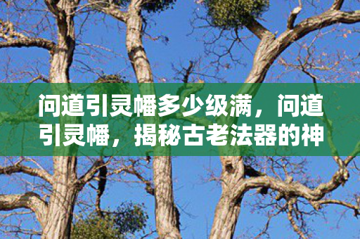 问道引灵幡多少级满,问道引灵幡,揭秘古老法器的神秘力量 问道引灵幡多少级满,问道引灵幡,揭秘古老法器的神秘力量