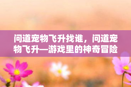 问道宠物飞升找谁，问道宠物飞升—游戏里的神奇冒险之旅