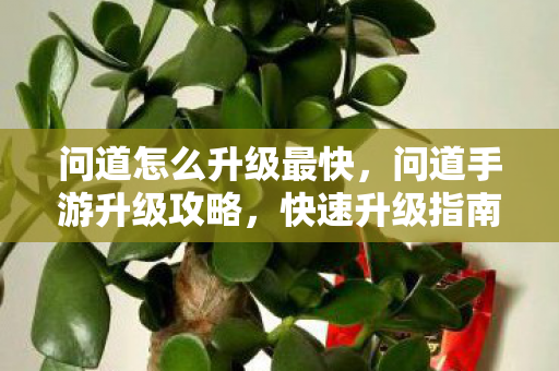 问道怎么升级最快,问道手游升级攻略,快速升级指南 问道怎么升级最快,问道手游升级攻略,快速升级指南