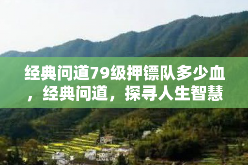 经典问道79级押镖队多少血，经典问道，探寻人生智慧之路