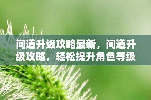 问道升级攻略最新，问道升级攻略，轻松提升角色等级，成为顶尖高手！