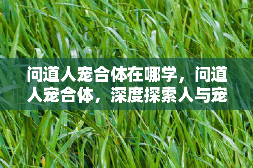问道人宠合体在哪学,问道人宠合体,深度探索人与宠物的共生之道 问道人宠合体在哪学,问道人宠合体,深度探索人与宠物的共生之道
