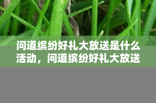 问道缤纷好礼大放送是什么活动，问道缤纷好礼大放送—一场充满惊喜的盛宴