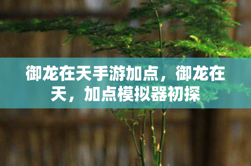 御龙在天手游加点，御龙在天，加点模拟器初探