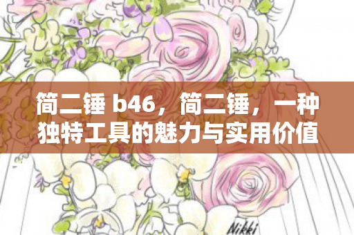 简二锤 b46，简二锤，一种独特工具的魅力与实用价值