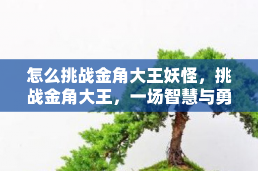 怎么挑战金角大王妖怪，挑战金角大王，一场智慧与勇气的较量