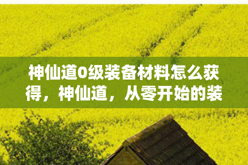 神仙道0级装备材料怎么获得，神仙道，从零开始的装备材料之旅