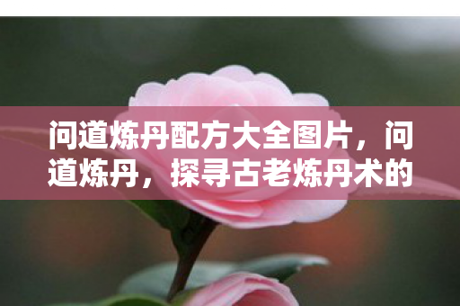 问道炼丹配方大全图片，问道炼丹，探寻古老炼丹术的神秘魅力与传承价值