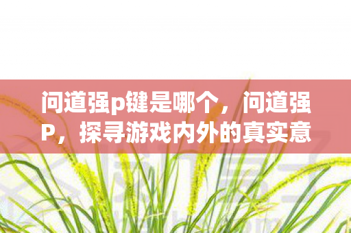 问道强p键是哪个,问道强P,探寻游戏内外的真实意义与价值 问道强p键是哪个,问道强P,探寻游戏内外的真实意义与价值