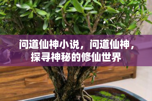 问道仙神小说，问道仙神，探寻神秘的修仙世界