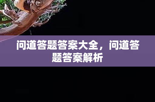问道答题答案大全，问道答题答案解析
