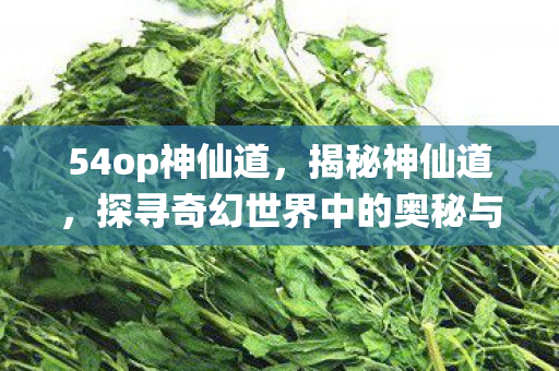 54op神仙道，揭秘神仙道，探寻奇幻世界中的奥秘与传奇