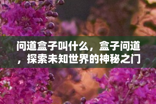 问道盒子叫什么，盒子问道，探索未知世界的神秘之门