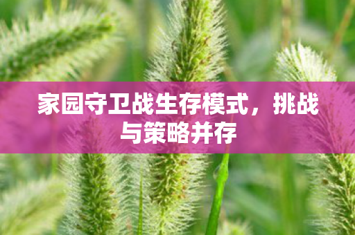 家园守卫战生存模式,挑战与策略并存 家园守卫战生存模式,挑战与策略并存