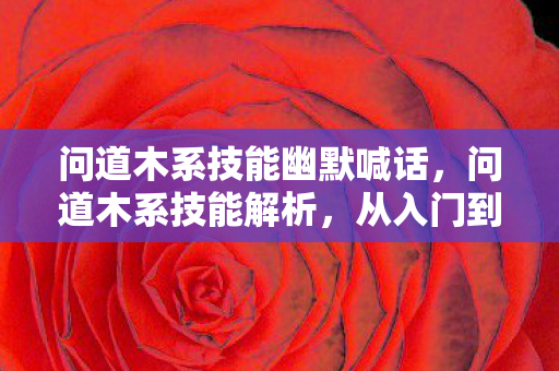 问道木系技能幽默喊话，问道木系技能解析，从入门到精通