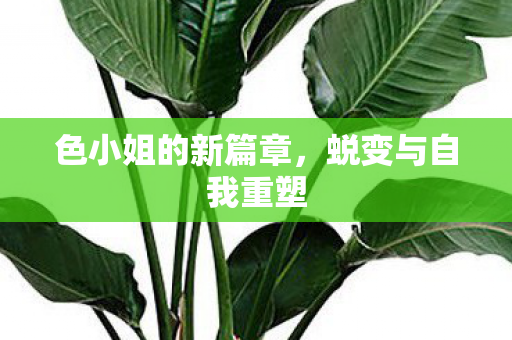 色小姐的新篇章，蜕变与自我重塑