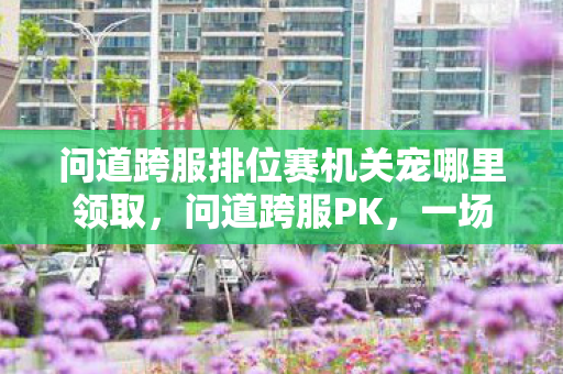 问道跨服排位赛机关宠哪里领取，问道跨服PK，一场巅峰之战的全方位解析