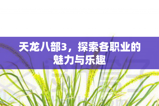 天龙八部3，探索各职业的魅力与乐趣