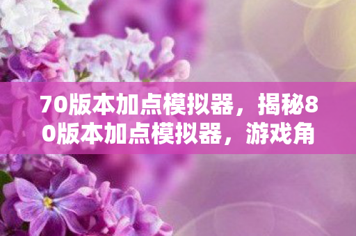 70版本加点模拟器,揭秘80版本加点模拟器,游戏角色成长的秘密武器 70版本加点模拟器,揭秘80版本加点模拟器,游戏角色成长的秘密武器