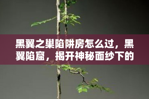 黑翼之巢陷阱房怎么过,黑翼陷窟,揭开神秘面纱下的真相 黑翼之巢陷阱房怎么过,黑翼陷窟,揭开神秘面纱下的真相
