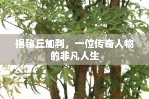 揭秘丘加利，一位传奇人物的非凡人生