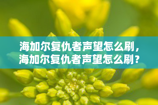海加尔复仇者声望怎么刷，海加尔复仇者声望怎么刷？一篇文章带你轻松上手