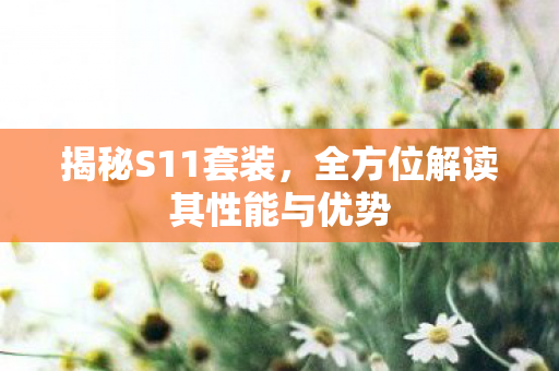 揭秘S11套装，全方位解读其性能与优势