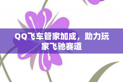 QQ飞车管家加成，助力玩家飞驰赛道