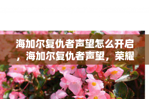 海加尔复仇者声望怎么开启,海加尔复仇者声望,荣耀背后的故事与冒险 海加尔复仇者声望怎么开启,海加尔复仇者声望,荣耀背后的故事与冒险