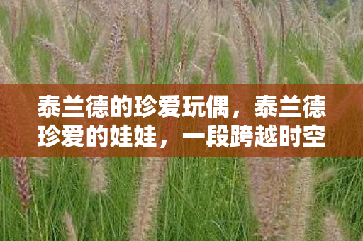 泰兰德的珍爱玩偶，泰兰德珍爱的娃娃，一段跨越时空的情感之旅