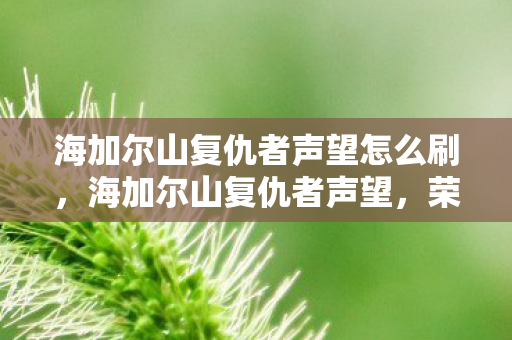 海加尔山复仇者声望怎么刷,海加尔山复仇者声望,荣耀与责任并存 海加尔山复仇者声望怎么刷,海加尔山复仇者声望,荣耀与责任并存