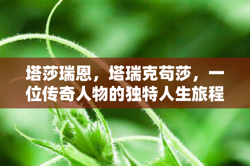 塔莎瑞恩,塔瑞克苟莎,一位传奇人物的独特人生旅程 塔莎瑞恩,塔瑞克苟莎,一位传奇人物的独特人生旅程