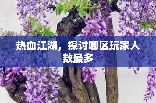 热血江湖，探讨哪区玩家人数最多
