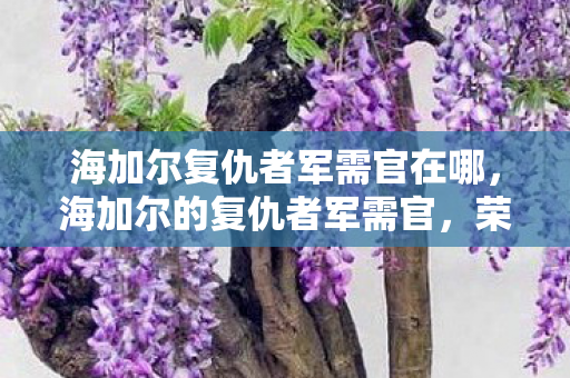 海加尔复仇者军需官在哪,海加尔的复仇者军需官,荣耀与牺牲的象征 海加尔复仇者军需官在哪,海加尔的复仇者军需官,荣耀与牺牲的象征