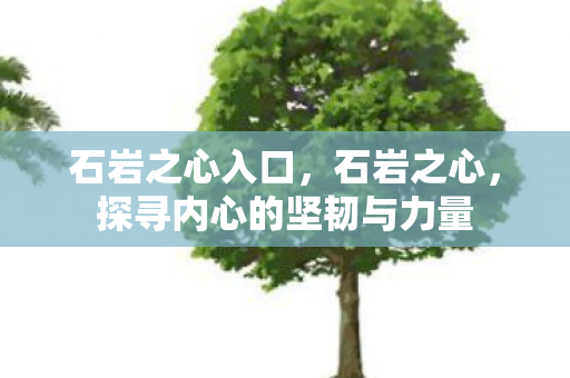 石岩之心入口,石岩之心,探寻内心的坚韧与力量 石岩之心入口,石岩之心,探寻内心的坚韧与力量