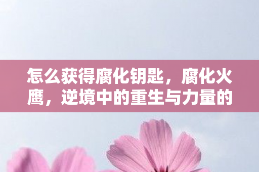 怎么获得腐化钥匙,腐化火鹰,逆境中的重生与力量的觉醒 怎么获得腐化钥匙,腐化火鹰,逆境中的重生与力量的觉醒