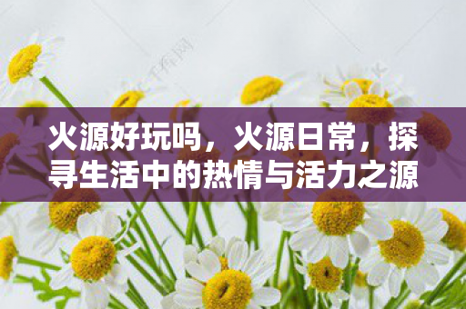 火源好玩吗，火源日常，探寻生活中的热情与活力之源