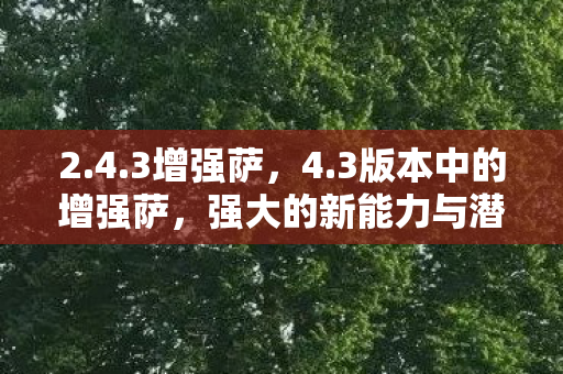 2.4.3增强萨,4.3版本中的增强萨,强大的新能力与潜力无限的发展前景 2.4.3增强萨,4.3版本中的增强萨,强大的新能力与潜力无限的发展前景
