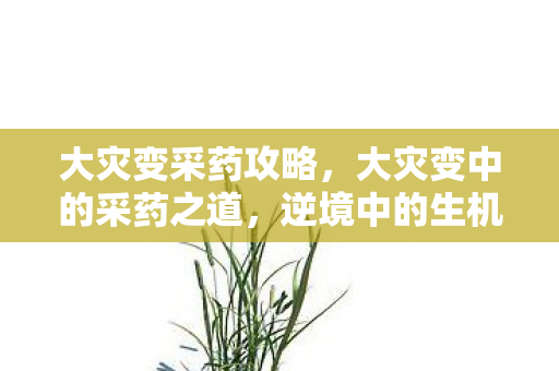 大灾变采药攻略,大灾变中的采药之道,逆境中的生机探寻 大灾变采药攻略,大灾变中的采药之道,逆境中的生机探寻
